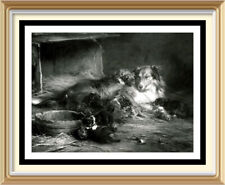 7x5 Wall Art Robert Alexander