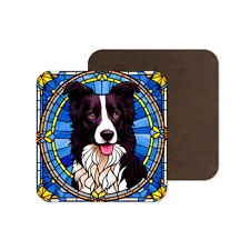 Border Collie Dog Puppy