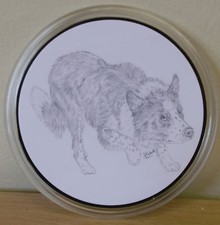 Border Collie Keyrings &