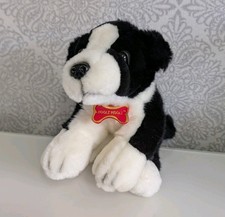 Hooli Mooli BORDER COLLIE -
