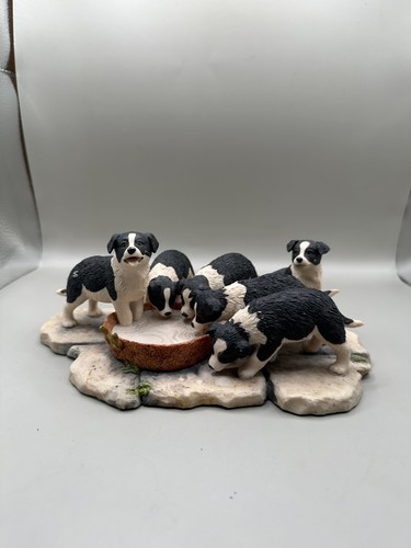 Border fine arts collie - fine,