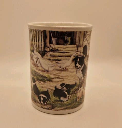 Border collie and - collie,