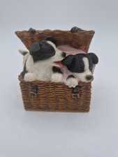 Collie Puppies In Hamper