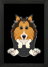 Collie Puppy In Pocket Framed