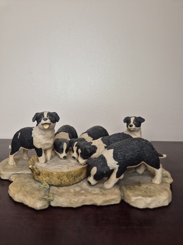 Border fine arts collie - fine,