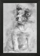 Border collie puppy 3 mont