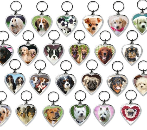 Dog keyrings heart shape pug - dog,