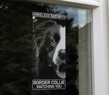 Border Collie Wireless