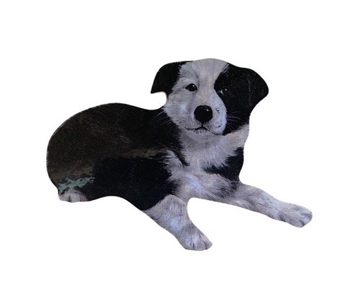 Border collie puppy magnet - collie,