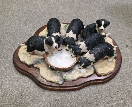 Border fine arts collie - border,