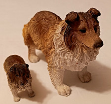 Rough Collie Dog Adult And