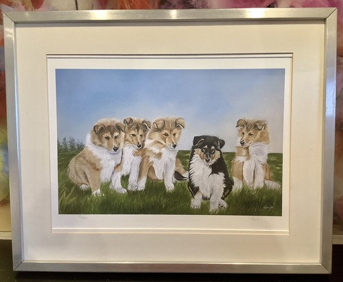 Collie puppies framed print - puppies,