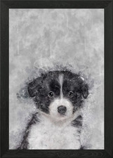 Border Collie Puppy Framed