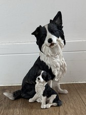 Border Collie With Puppy -