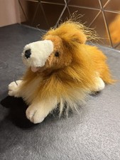 Rough longhaired Collie Dog