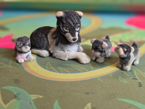 Puppy pocket dog - in,
