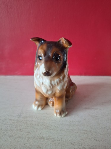 Vintage collie puppy - collie, 1960s